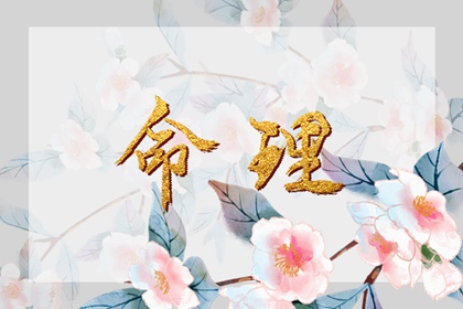 万年历老黄历_万年历查询_万年历表